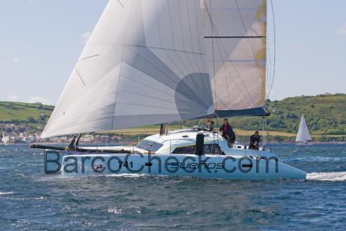 Dazcat 1195 ficha tecnica